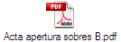 Acta apertura sobres B.pdf