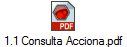 1.1 Consulta Acciona.pdf