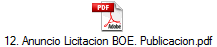 12. Anuncio Licitacion BOE. Publicacion.pdf