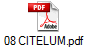 08 CITELUM.pdf