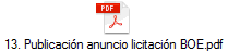 13. Publicacin anuncio licitacin BOE.pdf