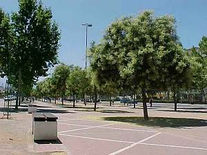 Avenida Joaquina Eguaras