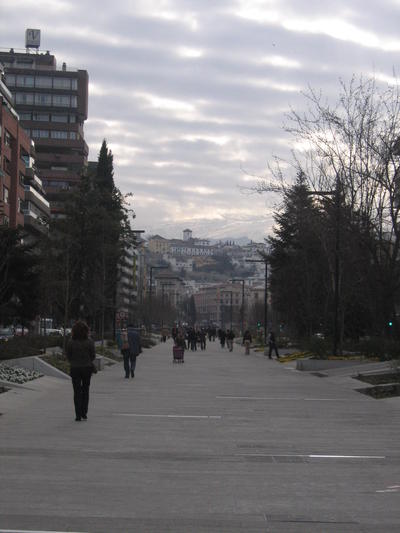 ©Ayto.Granada: Avenida de la Constitucin