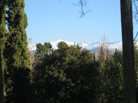 &copy;Ayto.Granada: Vista de Sierra de Nevada en las cercan�as de la Torre del Agua en la Alhambra