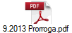 9.2013 Prorroga.pdf