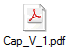 Cap_V_1.pdf