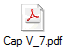 Cap V_7.pdf