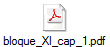 bloque_XI_cap_1.pdf