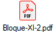 Bloque-XI-2.pdf