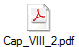 Cap_VIII_2.pdf
