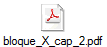 bloque_X_cap_2.pdf