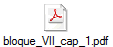 bloque_VII_cap_1.pdf