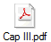 Cap III.pdf