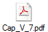 Cap_V_7.pdf