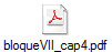 bloqueVII_cap4.pdf