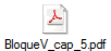 BloqueV_cap_5.pdf