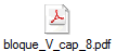 bloque_V_cap_8.pdf