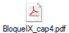 BloqueIX_cap4.pdf