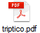 triptico.pdf