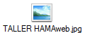 TALLER HAMAweb.jpg