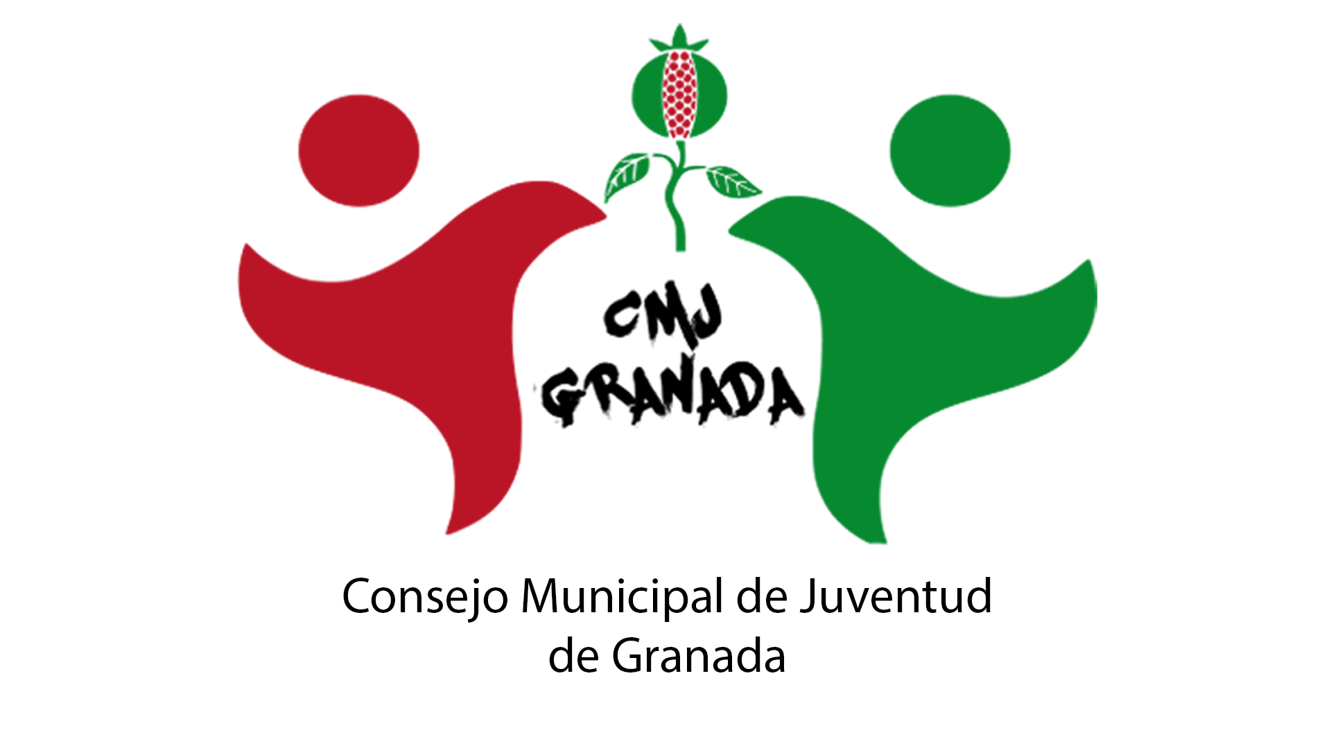 Sesin constitutiva del CONSEJO MUNICIPAL DE LA JUVENTUD DE GRANADA 