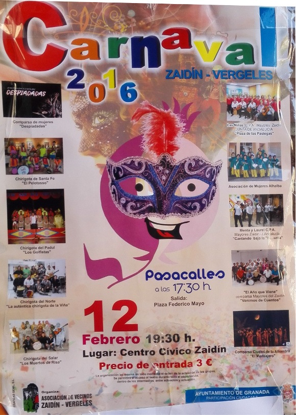 ©Ayto.Granada: Enredate: Carnaval Zaidn-Vergeles 2016