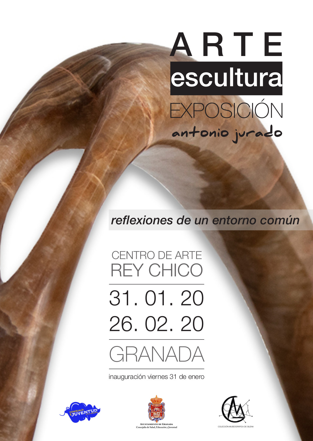 Exposicion Rey Chico. Reflexiones de un entorno comn. Antonio Jurado. 