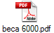 beca 6000.pdf