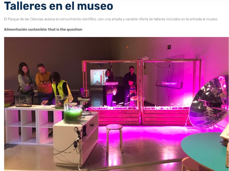 Talleres en el museo