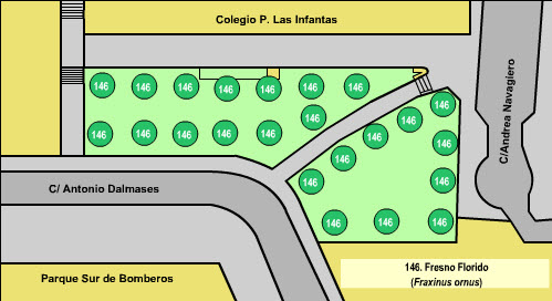 Bosques y Arboles