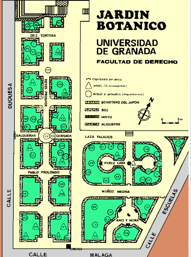 Bosques y Arboles