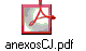 anexosCJ.pdf