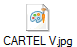 CARTEL V.jpg