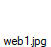 web1.jpg