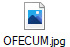 OFECUM.jpg