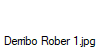 Derribo Rober 1.jpg