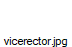 vicerector.jpg