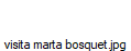 visita marta bosquet.jpg