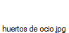 huertos de ocio.jpg