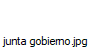 junta gobierno.jpg