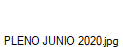 PLENO JUNIO 2020.jpg