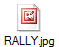 RALLY.jpg