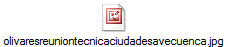 olivaresreuniontecnicaciudadesavecuenca.jpg