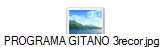 PROGRAMA GITANO 3recor.jpg