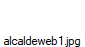 alcaldeweb1.jpg