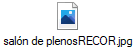salón de plenosRECOR.jpg