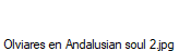 Olviares en Andalusian soul 2.jpg