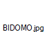 BIDOMO.jpg