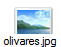 olivares.jpg