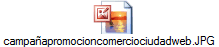 campaapromocioncomerciociudadweb.JPG